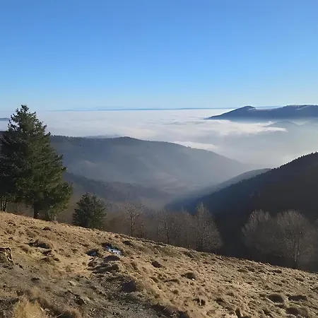 Apartamento Natuer'gite