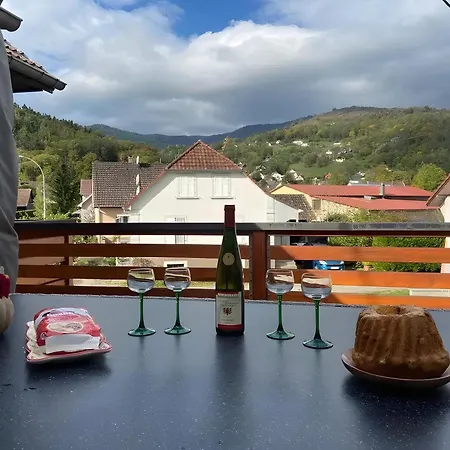 Natuer'gite Apartamento Fellering