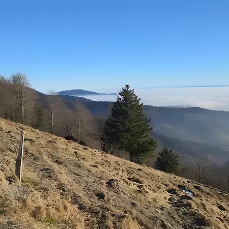 Natuer'gite * Fellering