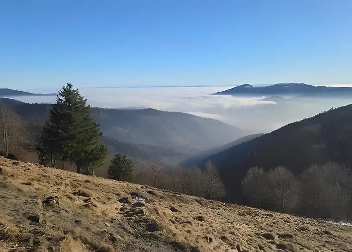 Appartement Natuer'gite