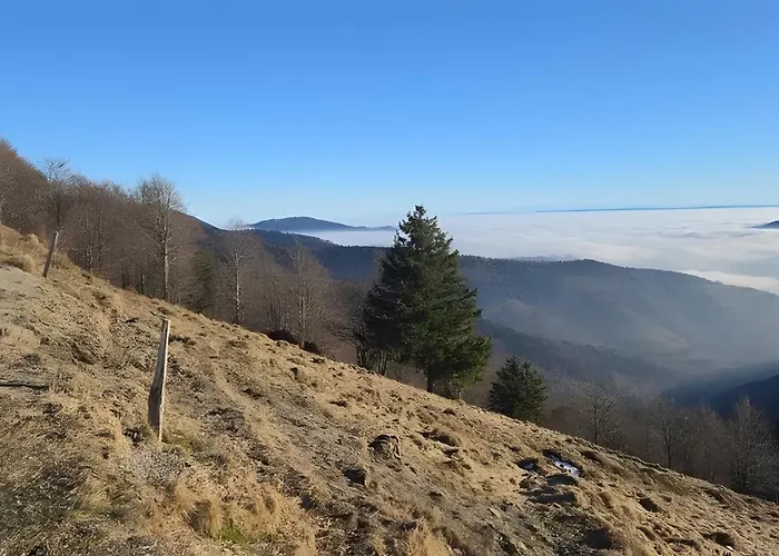 Natuer'gite * Fellering